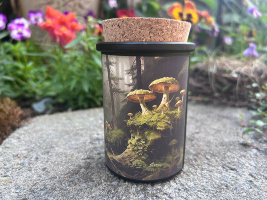 Fairytale Mushroom & Moss candles set of 6 Fairy Magic