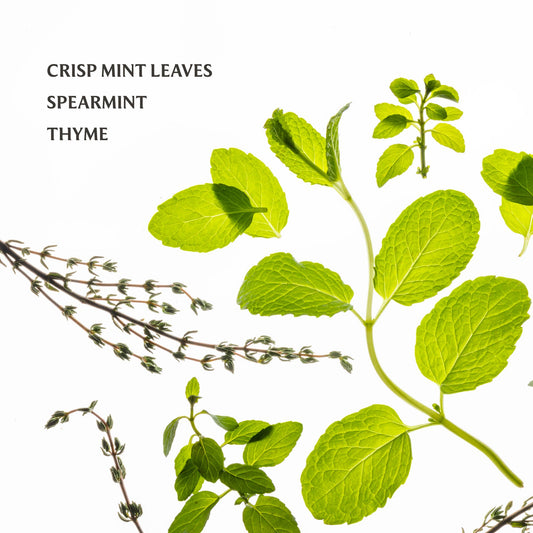 Touchland Hand Sanitizer – Frosted Mint