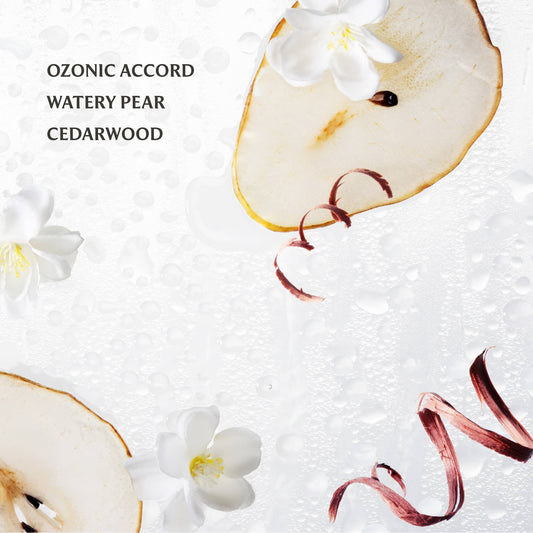 Touchland Hand Sanitizer – Rainwater