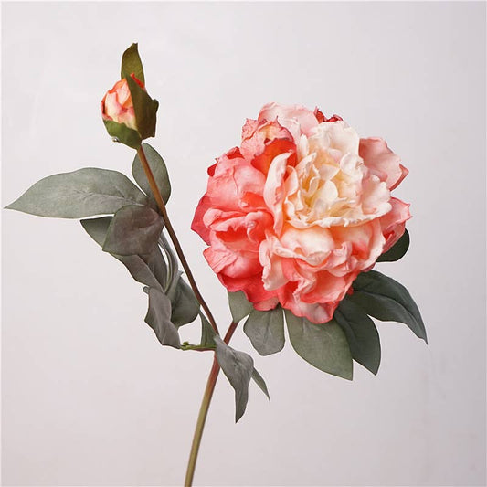 24''T Faux Dried Look Silk Peony, Spring Peonies, Long Stem
