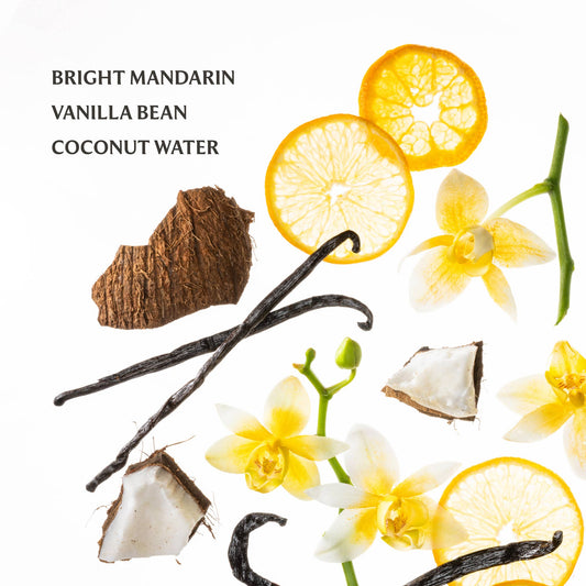 Touchland Hand Sanitizer – Vanilla Blossom