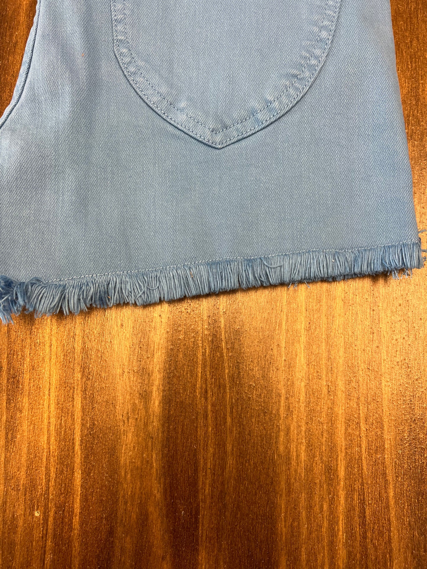 Blue Frayed Judy Blue Shorts